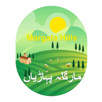 Travel Love Sticker by FlyVour