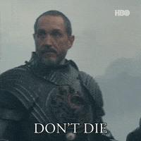 Die A Knight Of The Seven Kingdoms GIF by Game of Thrones