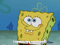 season 1 GIF by SpongeBob SquarePants