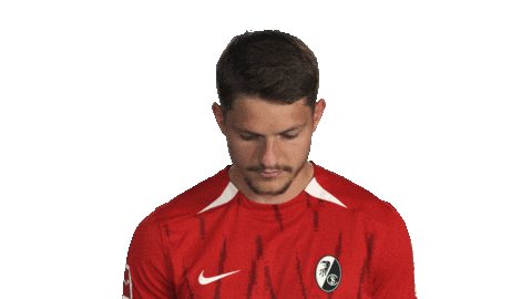 Look Up Sc Freiburg Sticker by Bundesliga