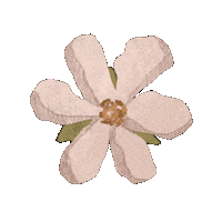 SilverPartyPants cute illustration nature flower Sticker