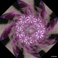 art geometry GIF by Michel Poisson