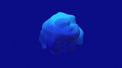 GIF by Trakto