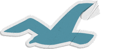 Seagull Sticker by Hollister Co.