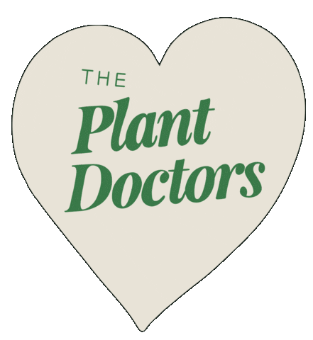 Theplantdoctors giphyupload heart monstera plant docs Sticker