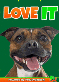 Love It Omg GIF by PetJuvenate - PJ
