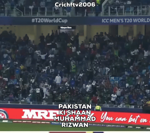 Cricket Pakistan GIF