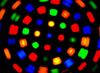 Burst Generator GIF by The Chemical Brothers