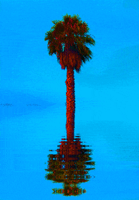 GIF by haydiroket (Mert Keskin)