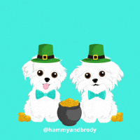 Rainbow Dogs GIF by HammyandBrody