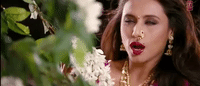 bollywood Hindi GIF