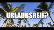 travel beach GIF by sonnenklar.TV