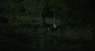 Liam Neeson Made In Italy GIF by Madman Films
