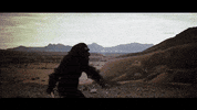 combined gifs GIF