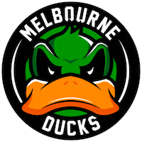 Ice Hockey Melbourne Sticker by icehq