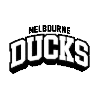 Melbourne Ducks Sticker by icehq
