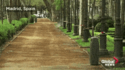Madrid Spain GIF