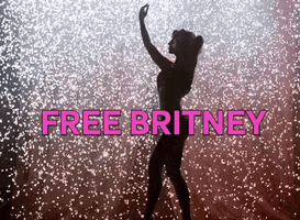 FreeBritneyArmy britney spears britney free britney freebritney GIF