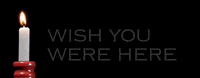Come Back GIF by TOSOC