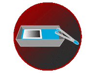 linabessonova film analog printing kodak Sticker