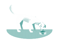 Hund Sticker by HelloBello Frischfutter
