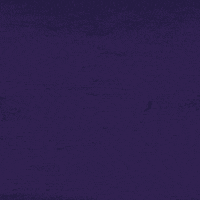 spring GIF by Clear Eyes