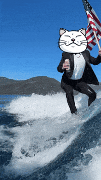 Cat Trump GIF by ShiroNeko
