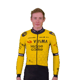 Tour De France Giro Sticker by Team Visma | Lease a Bike