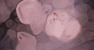 sound of a woman GIF by Kiesza