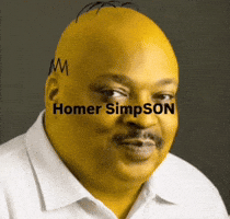 Homer Simpson Simpsons GIF