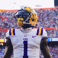 College Football GIF by LSU Tigers