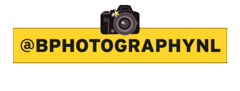 Bfotografienl giphyupload bphotographynl Sticker