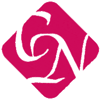 Cn Nailpolish Sticker by Crystal Nails