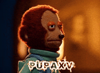 Monkey Puppet Staring GIF