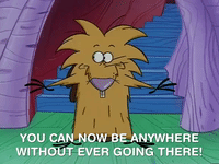 nickrewind nicksplat angry beavers GIF