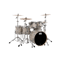 Collectors Drumming Sticker by DW Drums