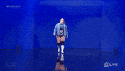 Sport Wwe GIF by USA Network