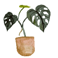 Home Plant Sticker