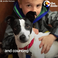 GIF by The Dodo