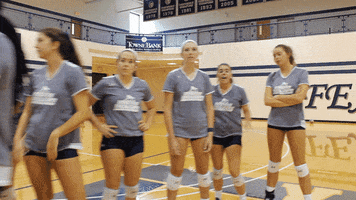 vwu_marlins marlins vwu wethebeach virginiawesleyan GIF