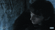 sansa stark episode 3 GIF by Game of Thrones