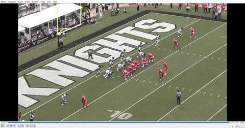 nfalato11 giphyupload GIF