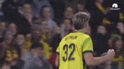 Michelle Heyman Celebration GIF by Football Australia
