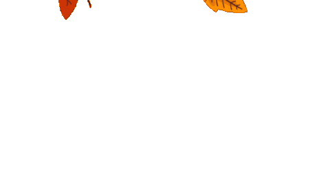 Autumn Kayaking Sticker by Lakeland Kayaks Ltd