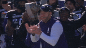 Excited College Football GIF by Northwestern Athletics