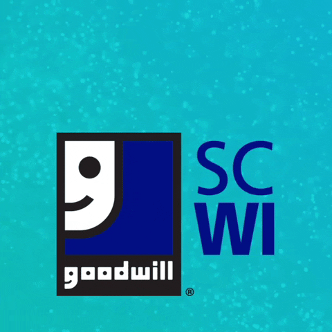 goodwillscwi thrift thrifting goodwill thrift shop GIF
