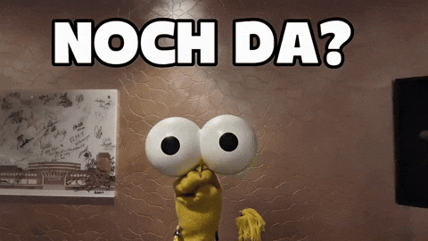 SaschaGrammel sock sascha socke strumpf GIF