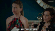 tv land GIF by YoungerTV