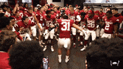 Celebrate College Football GIF by Arkansas Razorbacks