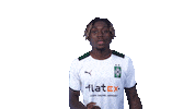 Goal Celebrate Sticker by Borussia Mönchengladbach